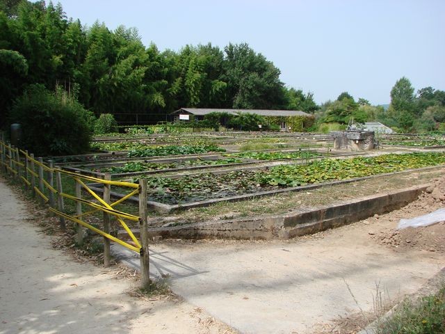 vrt lopoča